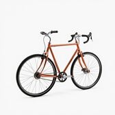 Brackwell Copper 813